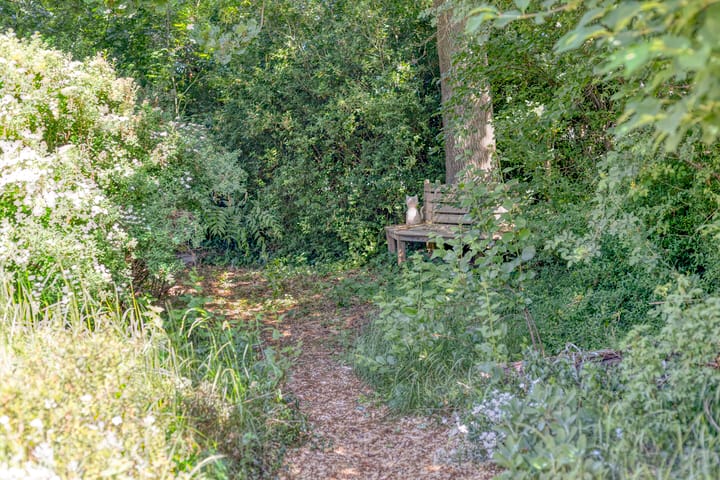 Foto 62 van Europasingel 2