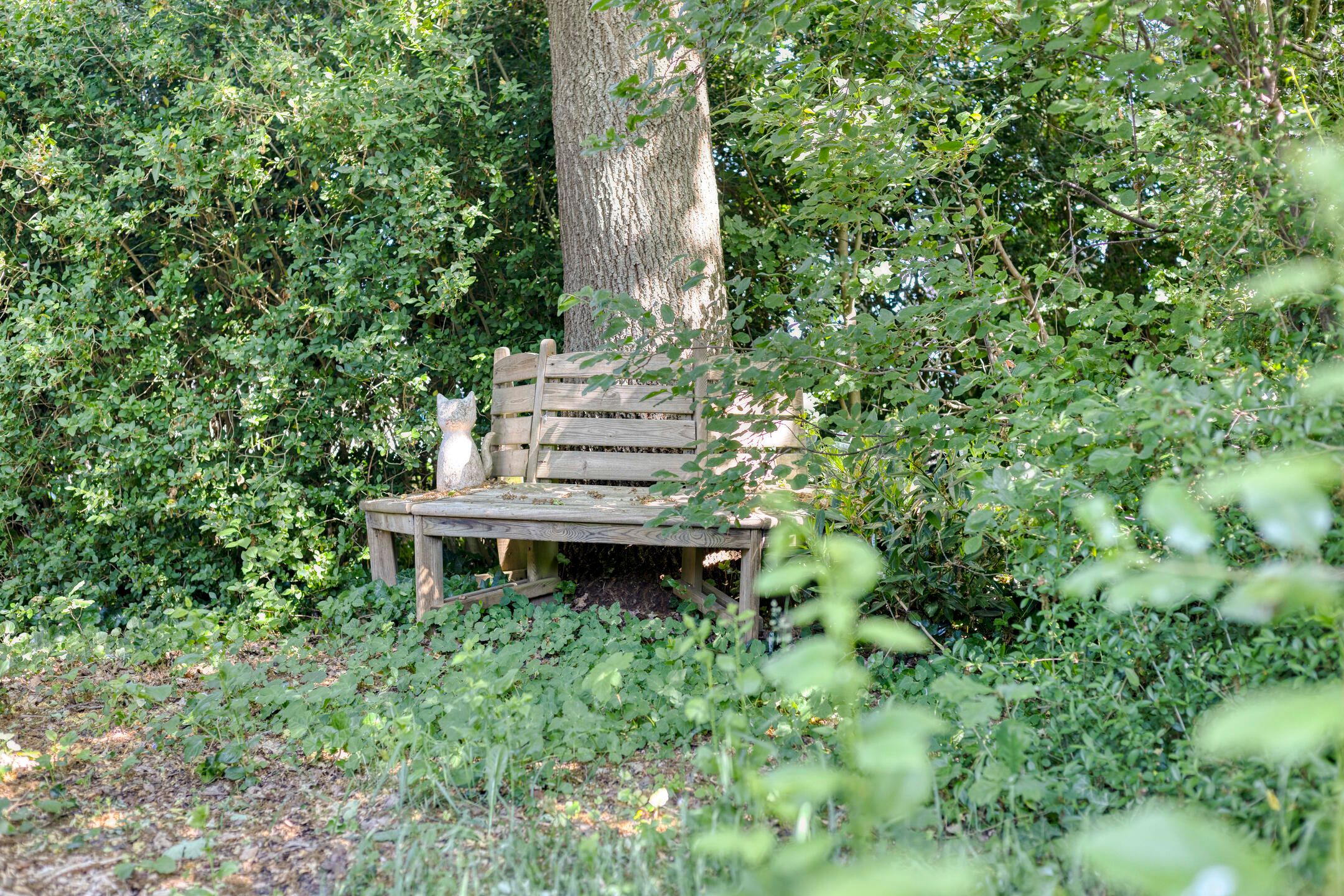 Foto 63 van Europasingel 2