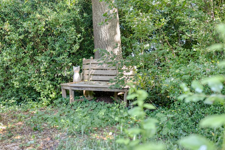 Foto 63 van Europasingel 2