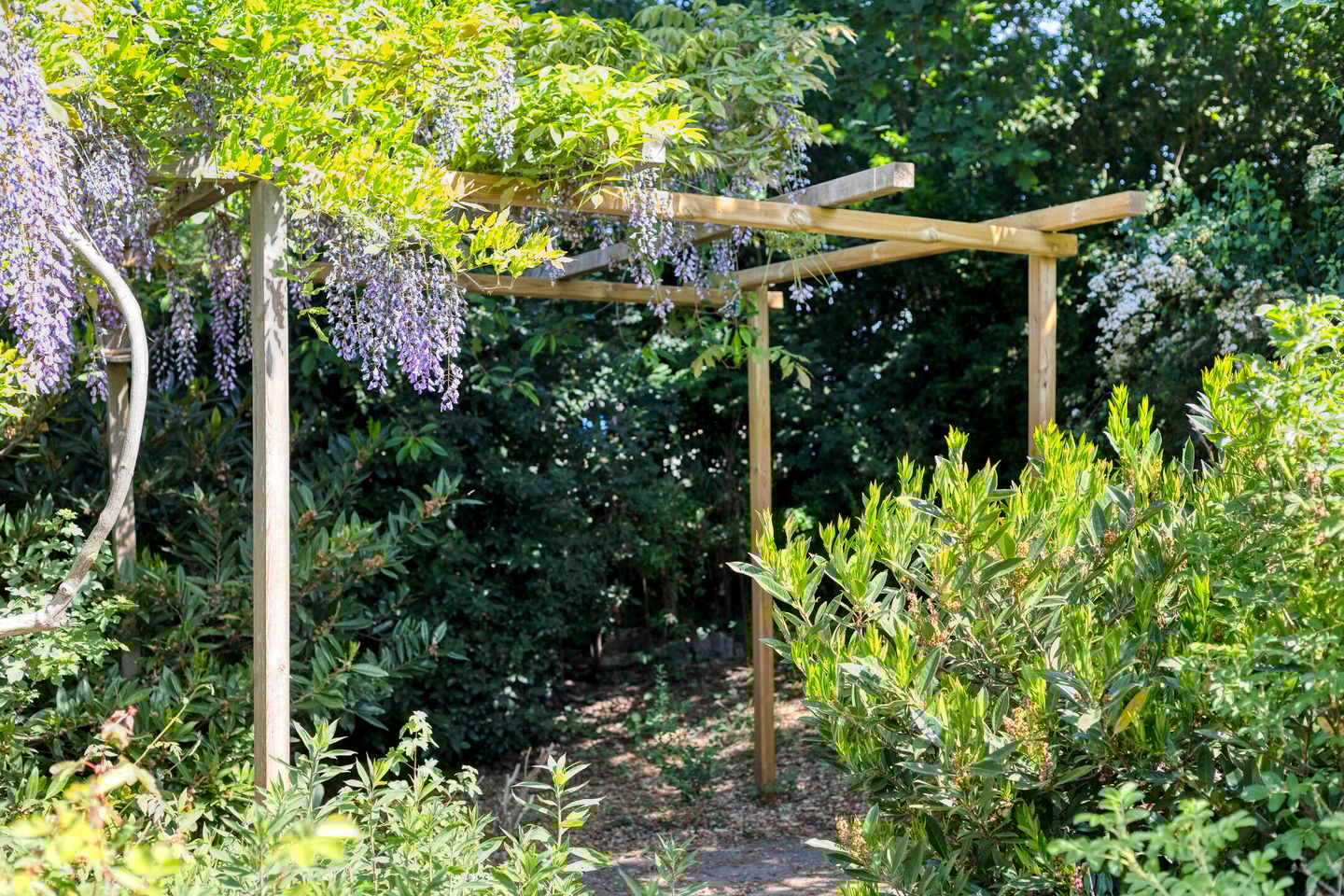 Foto 65 van Europasingel 2