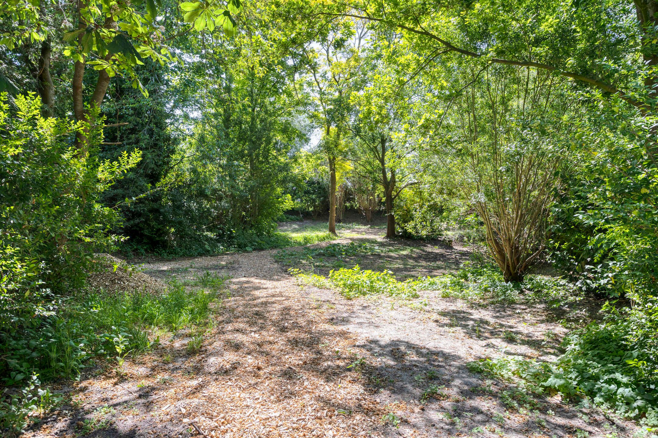 Foto 69 van Europasingel 2