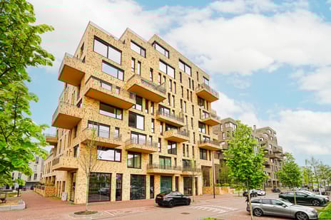 undefined main image