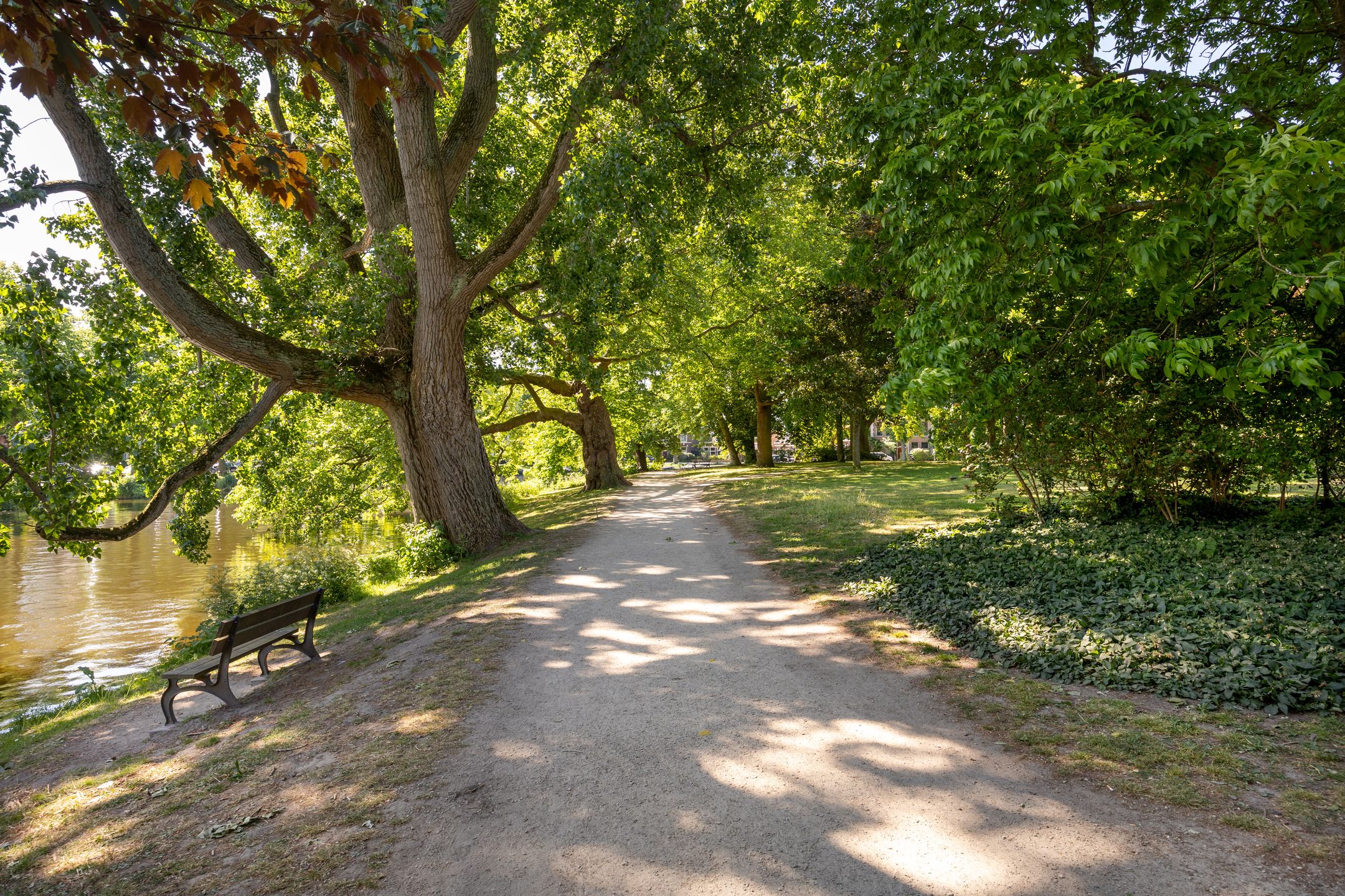 Photo 24 of Pakhuisstraat 9