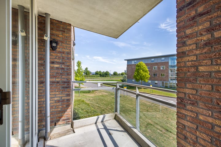 Foto 7 van Zilvermos 37