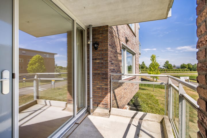 Foto 9 van Zilvermos 37