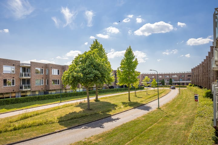 Foto 11 van Zilvermos 37