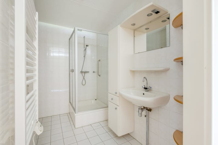 Foto 21 van Zilvermos 37