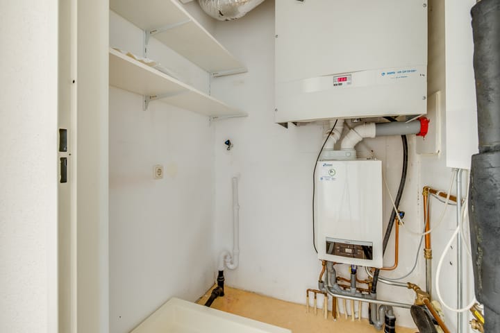 Foto 27 van Zilvermos 37