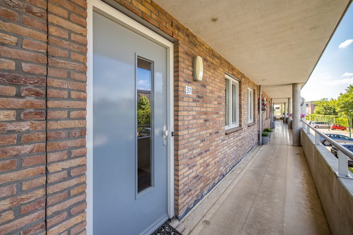 Foto 28 van Zilvermos 37