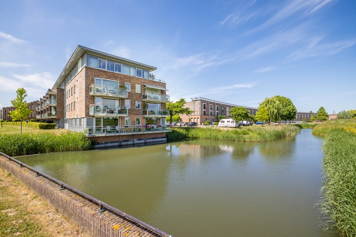 Foto 36 van Zilvermos 37