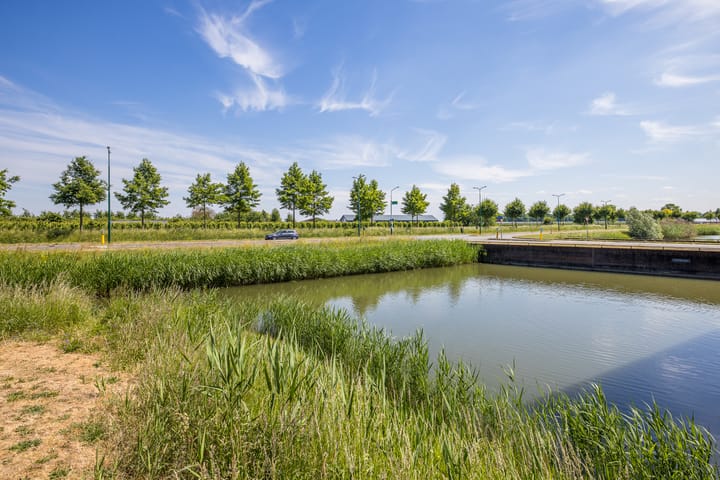 Foto 37 van Zilvermos 37