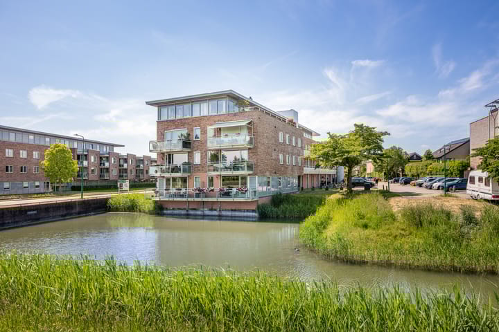 Foto 38 van Zilvermos 37