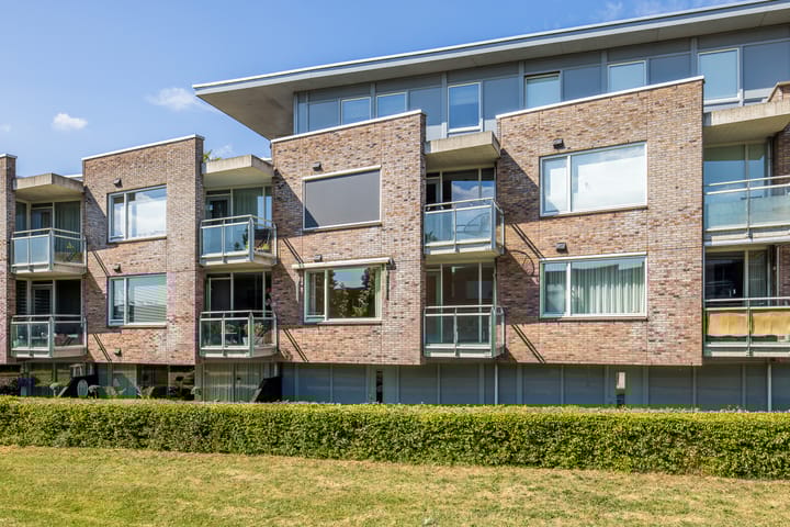 Foto 39 van Zilvermos 37