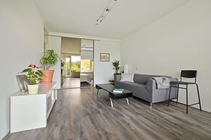 Foto 3 van Julianaplantsoen 170