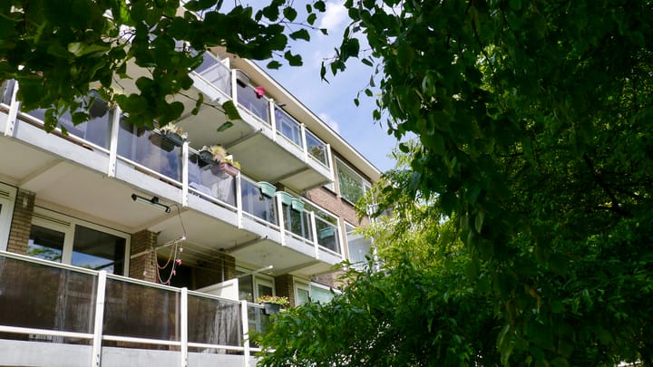 Foto 5 van Julianaplantsoen 170