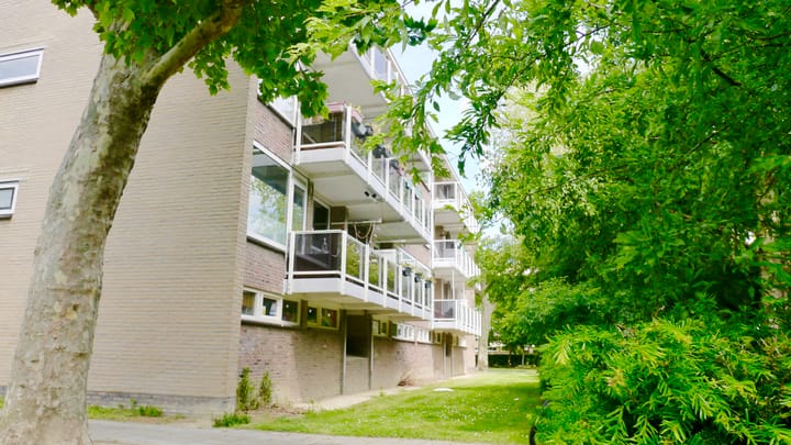 Foto 23 van Julianaplantsoen 170