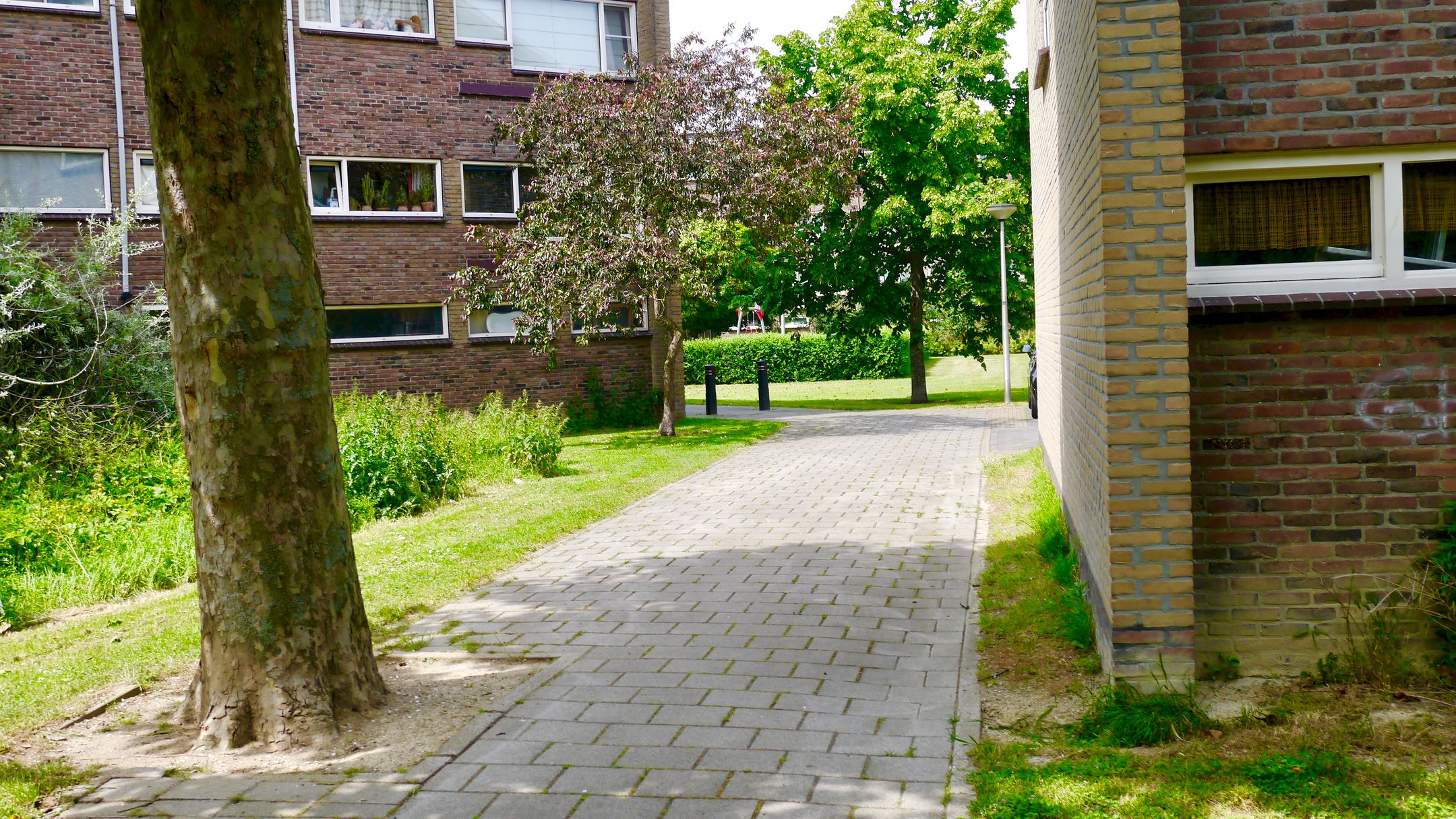 Foto 24 van Julianaplantsoen 170