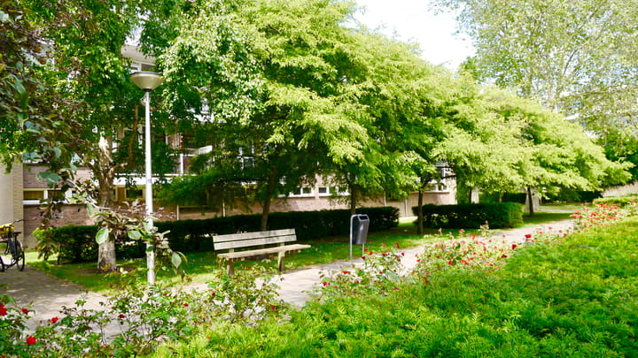 Foto 25 van Julianaplantsoen 170