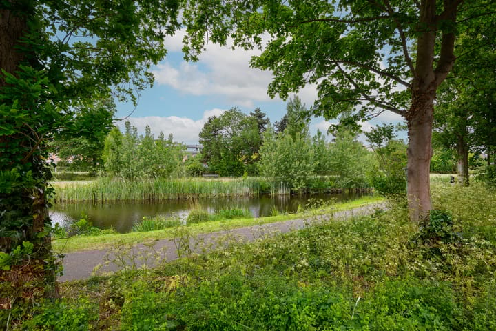 Photo 48 of Balsemienlaan 22