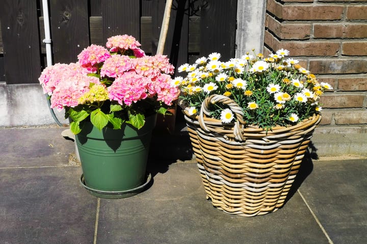 Foto 29 van Rijperkerkpark 97