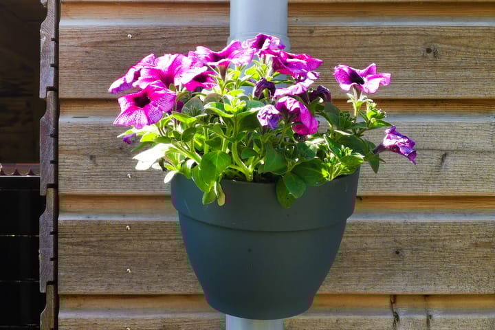 Foto 31 van Rijperkerkpark 97