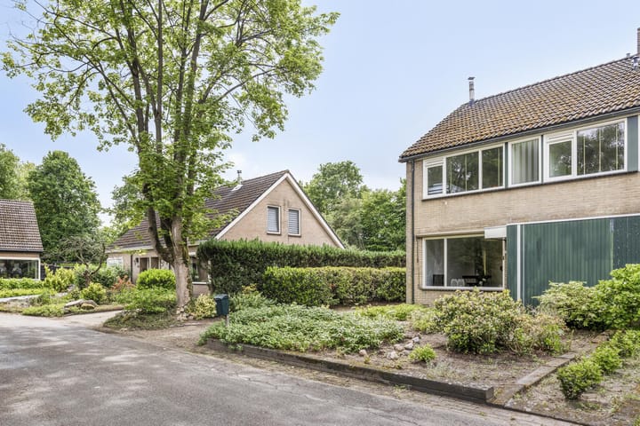 Ter Borghstraat 28