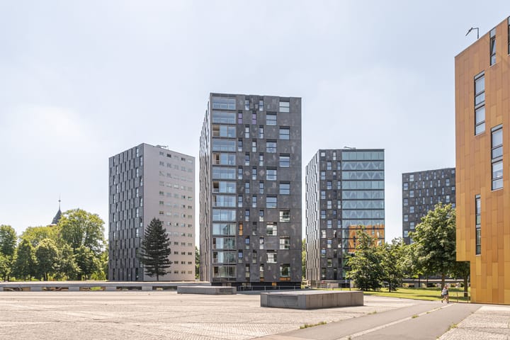 Foto 2 van Nonnenveld 481