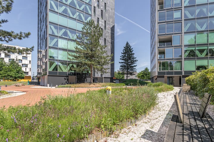 Foto 40 van Nonnenveld 481