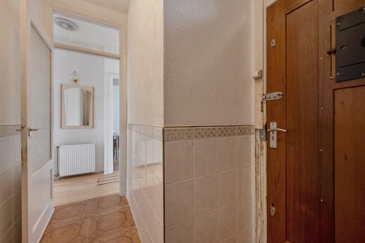 Foto 6 van Troelstrakade 715