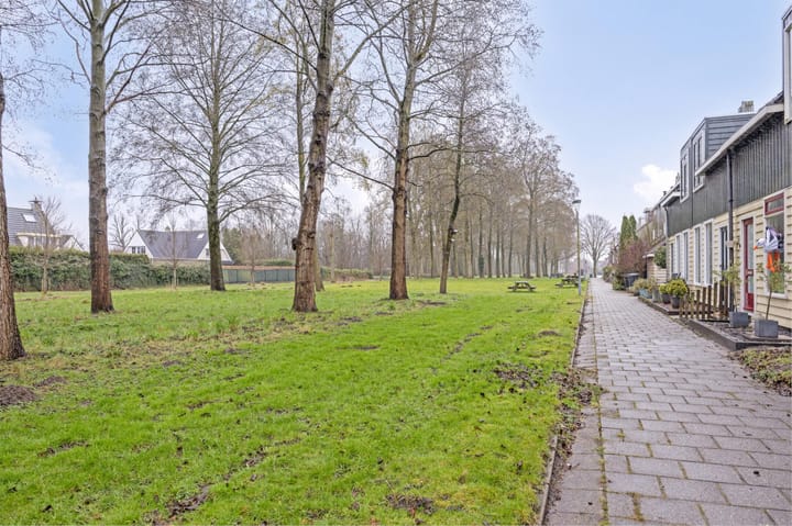 Foto 5 van Dassenbos 246