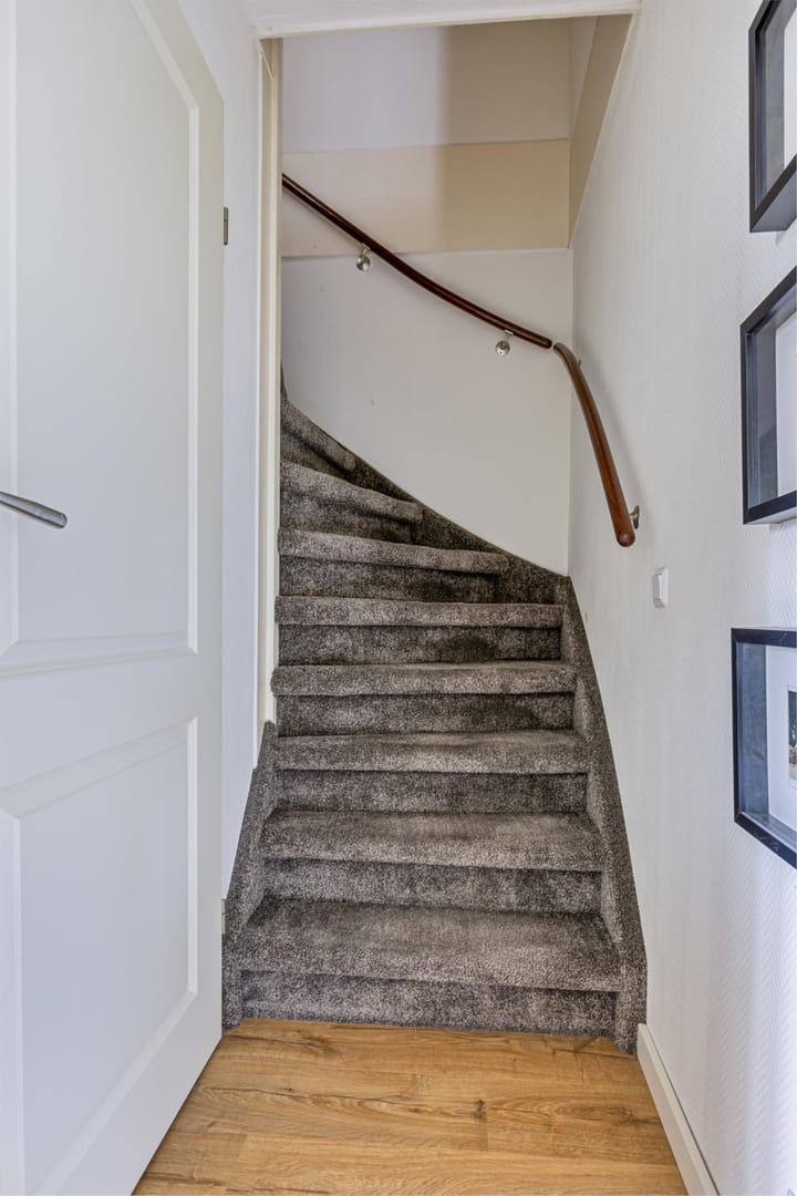 Foto 15 van Dassenbos 246