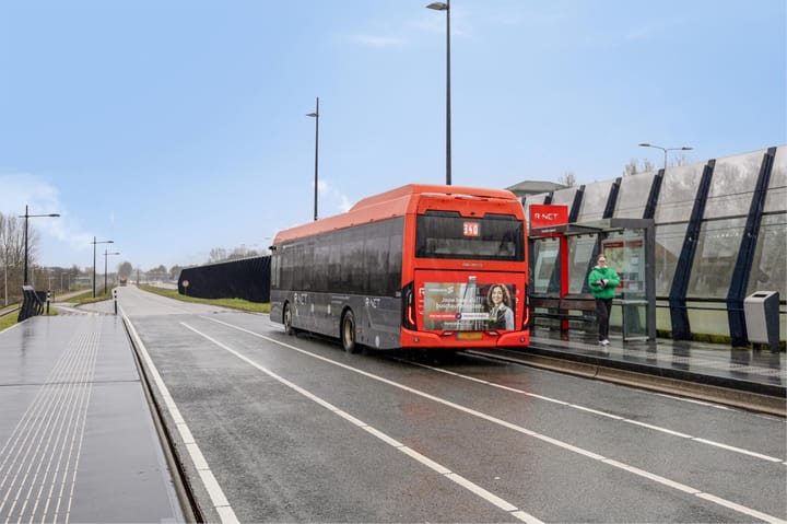 Foto 37 van Dassenbos 246