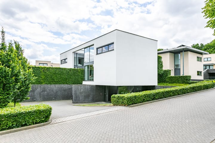 Foto 1 van Madelief 6