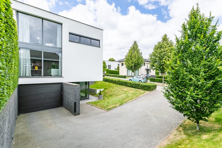 Foto 2 van Madelief 6