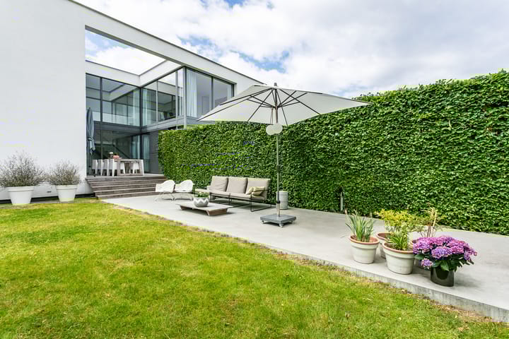 Foto 40 van Madelief 6