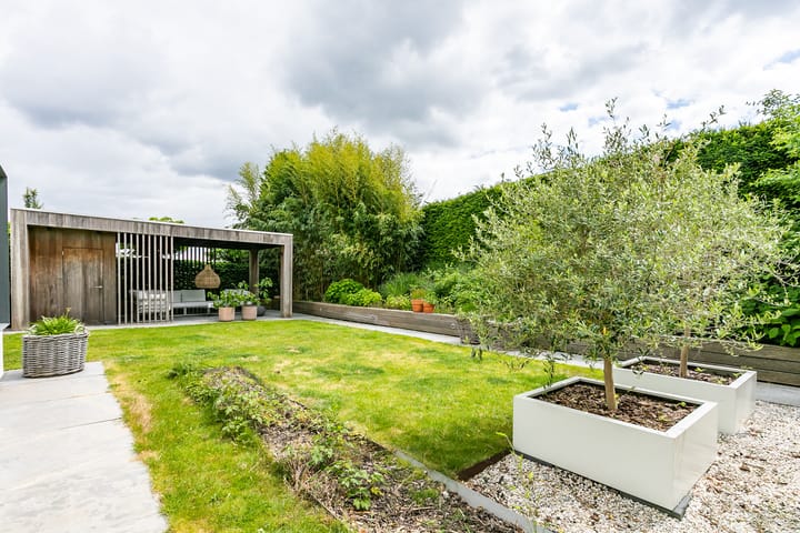 Foto 44 van Madelief 6