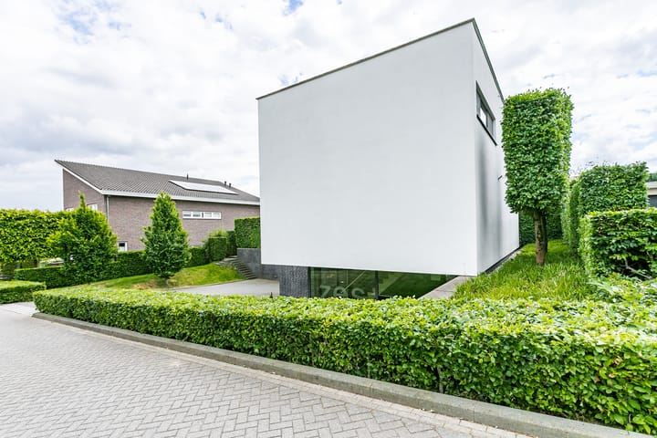 Foto 51 van Madelief 6