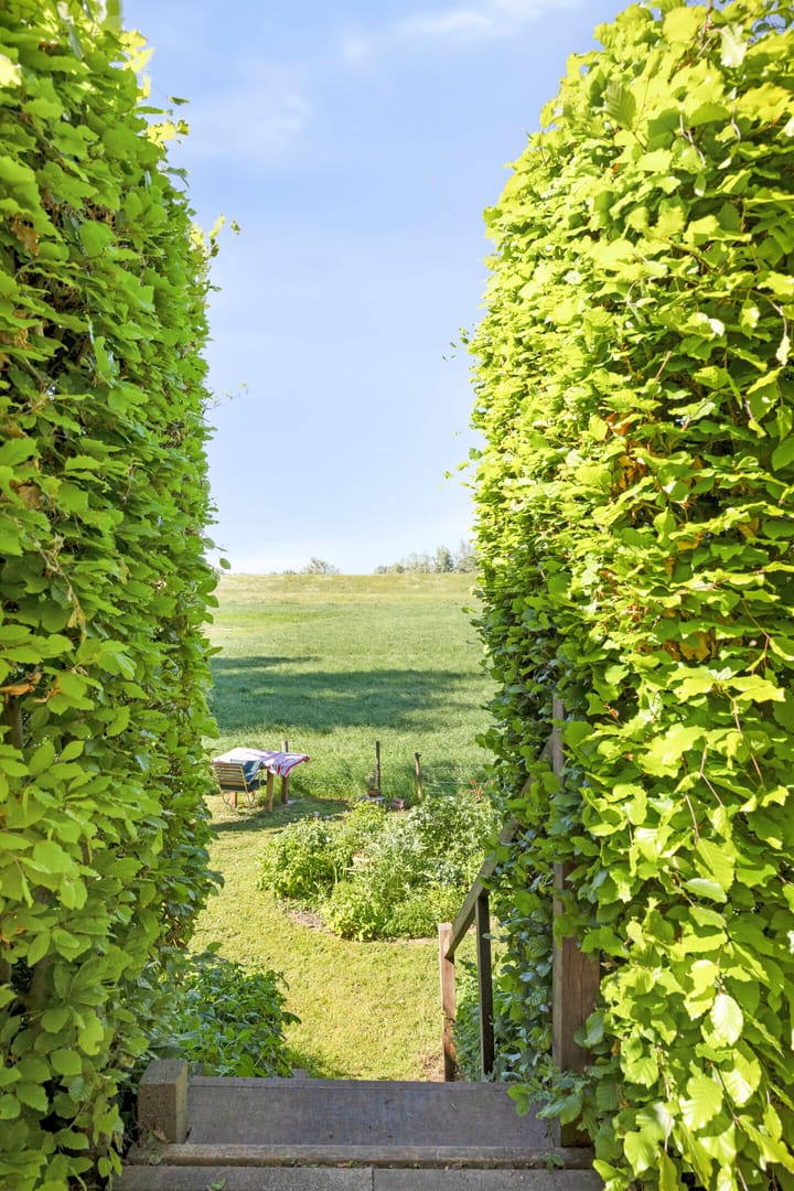 Foto 44 van Waalbandijk 40