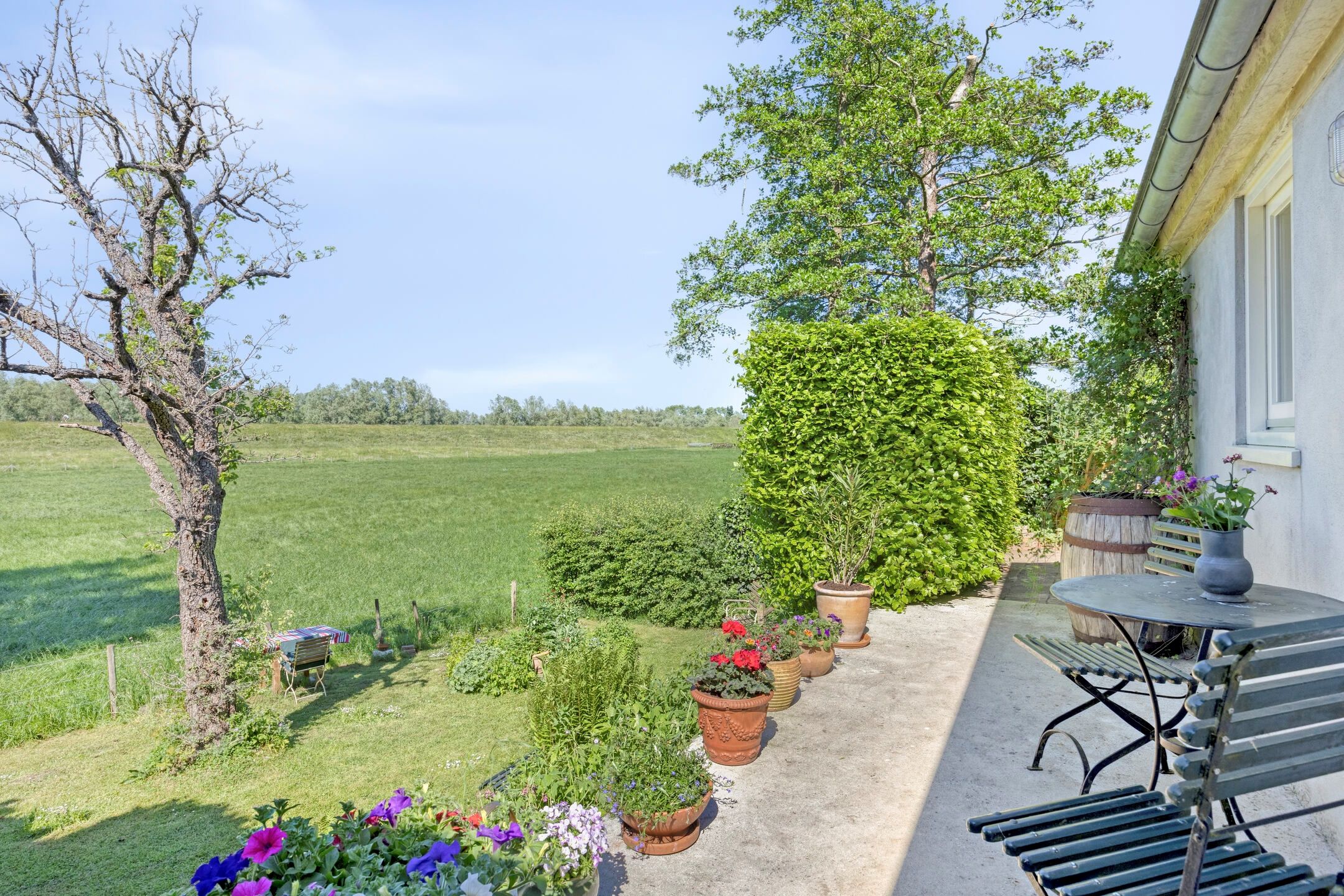 Foto 45 van Waalbandijk 40