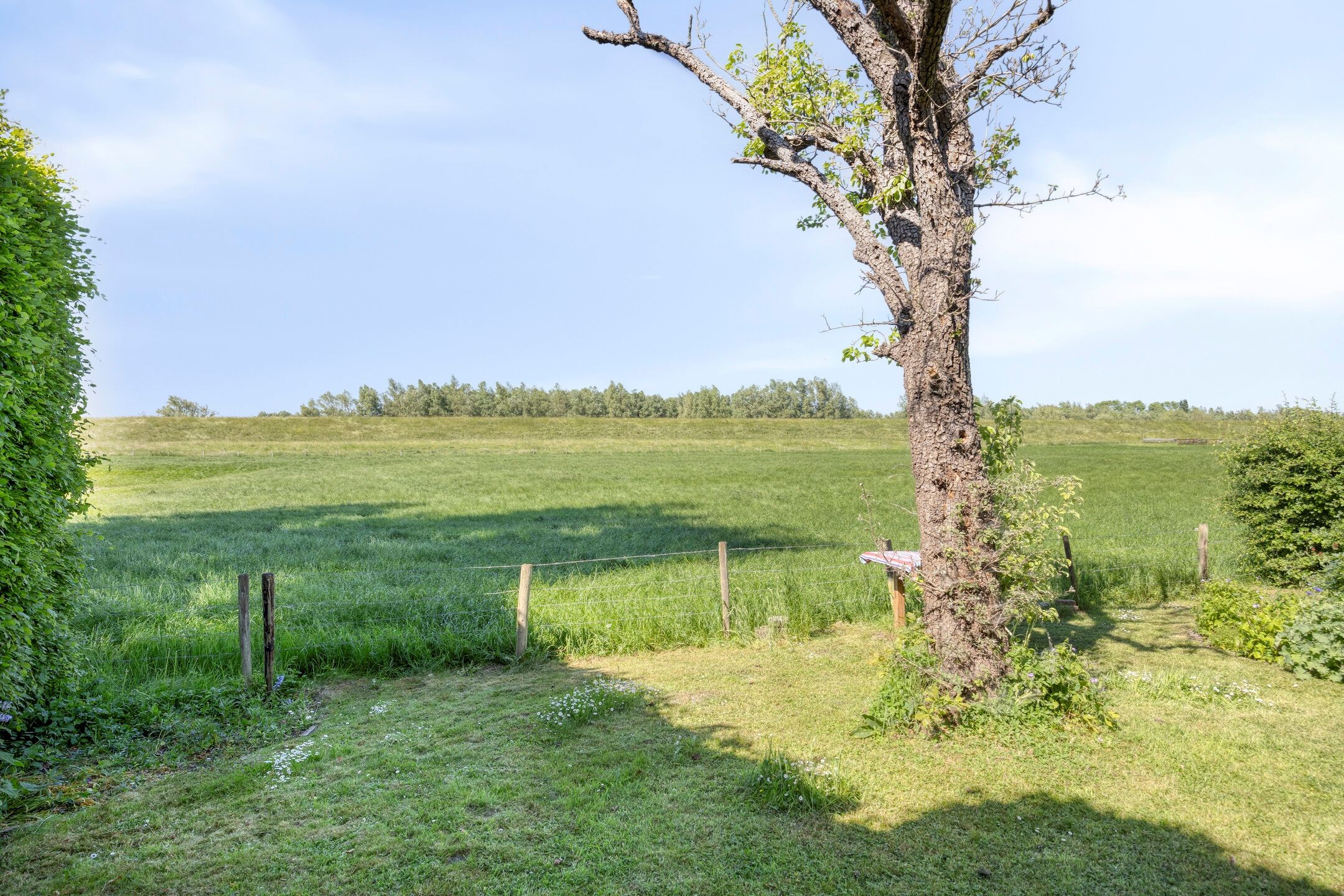 Foto 48 van Waalbandijk 40