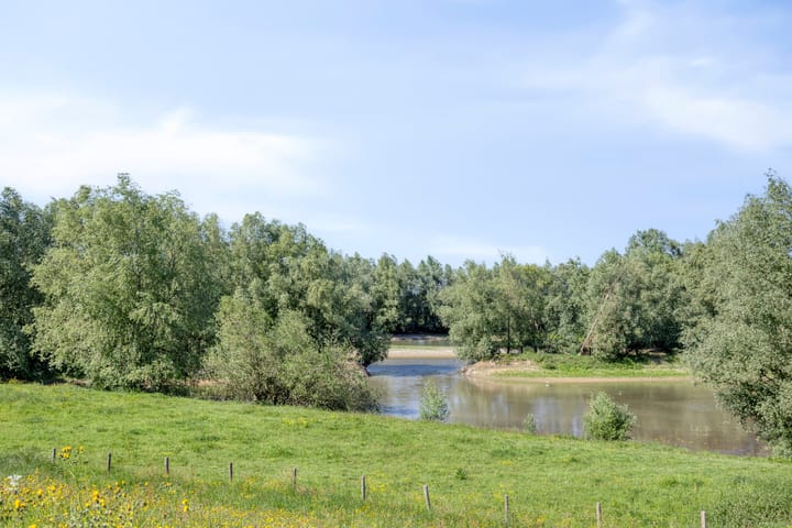 Foto 50 van Waalbandijk 40