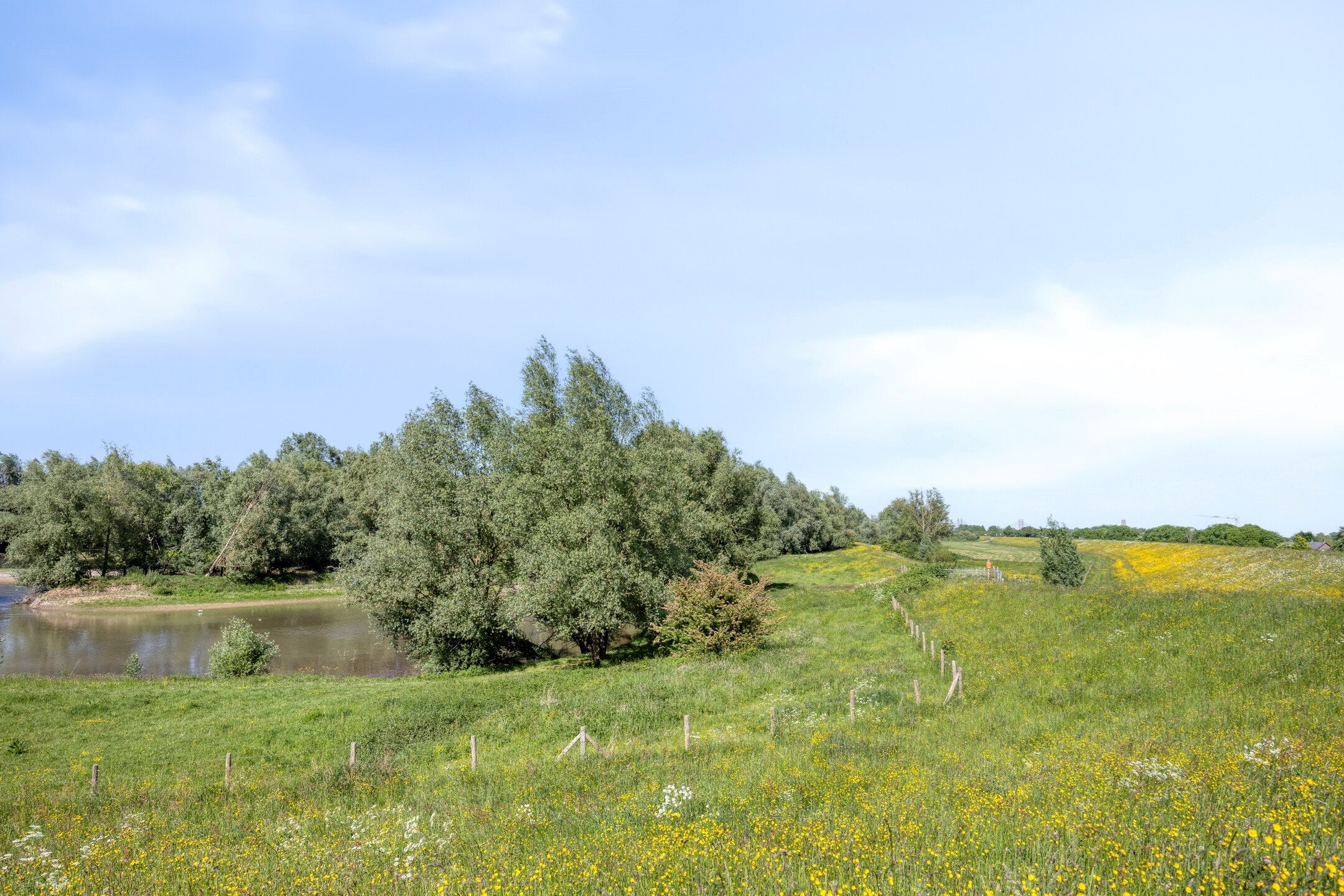 Foto 51 van Waalbandijk 40