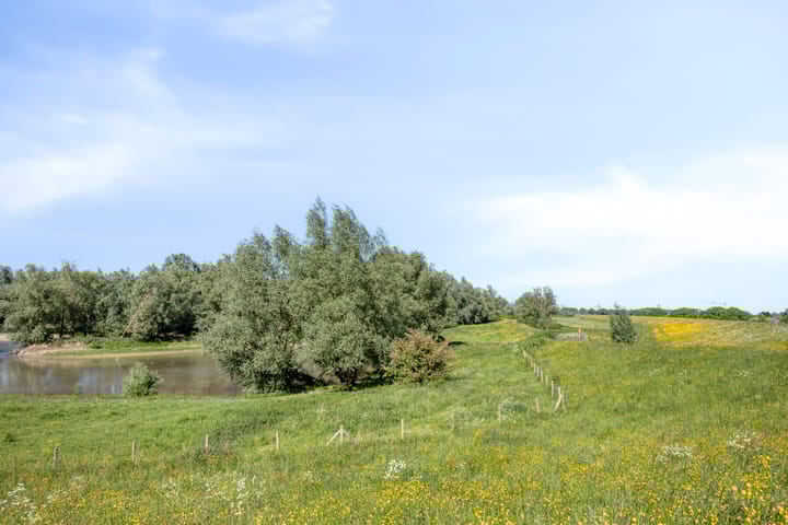 Foto 51 van Waalbandijk 40