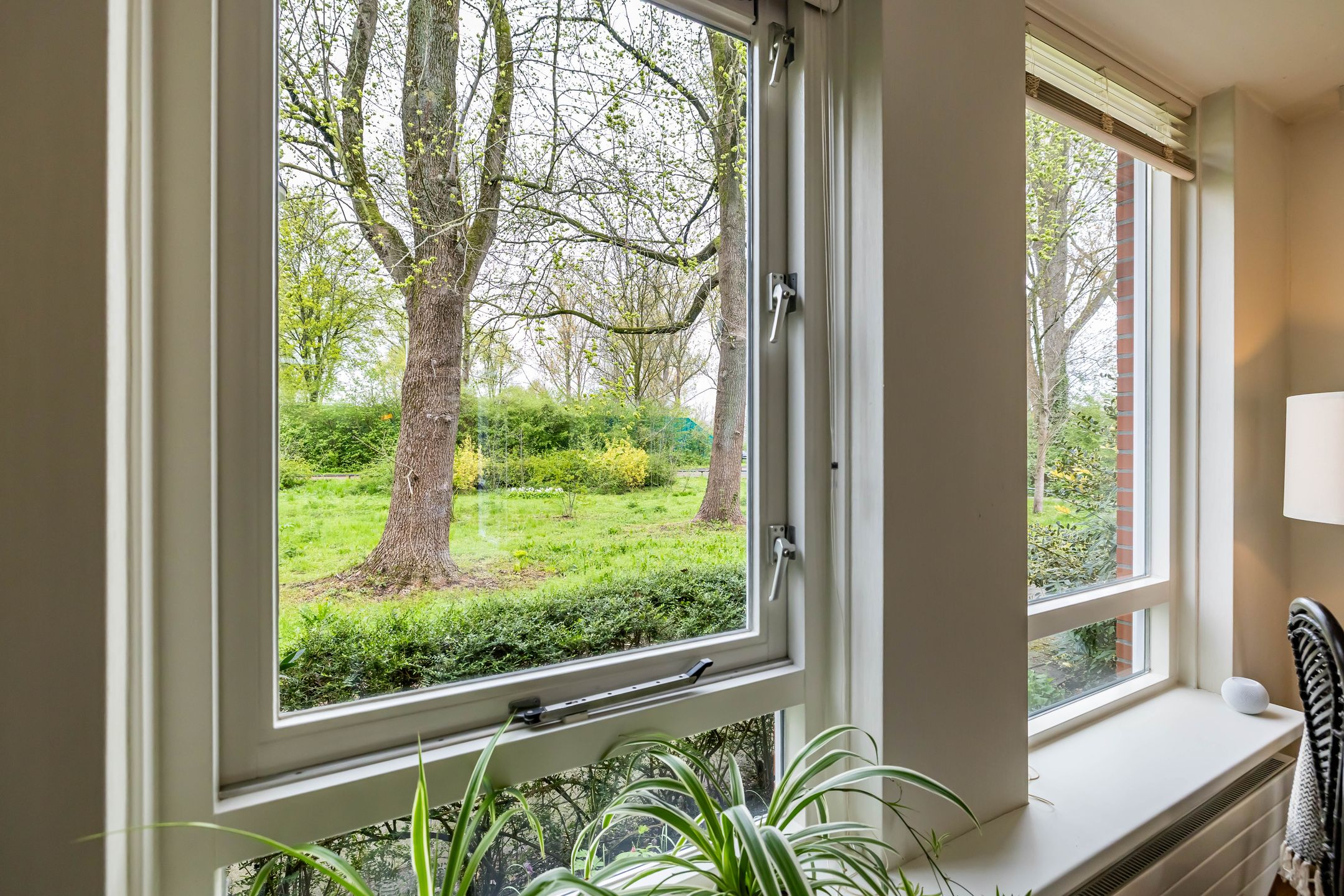 Photo 21 of Kornoeljestraat 7