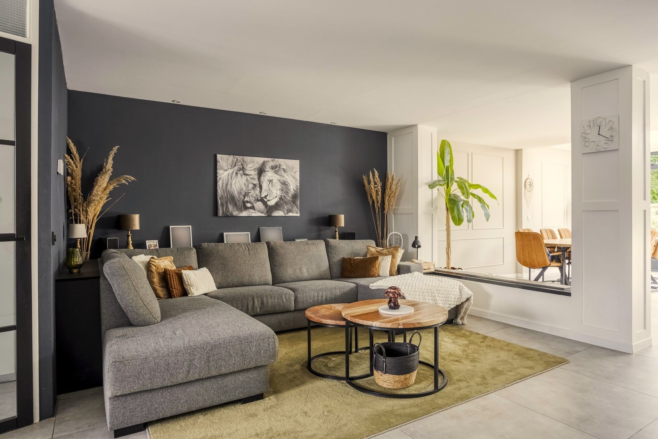 Foto 12 van Tweelingen 95