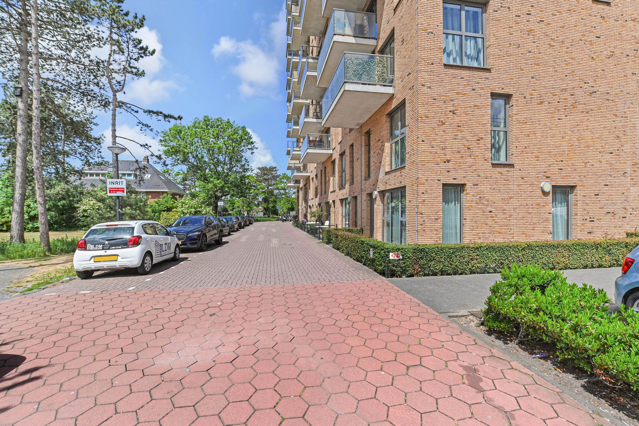 Foto 21 van Treubstraat 12-F004