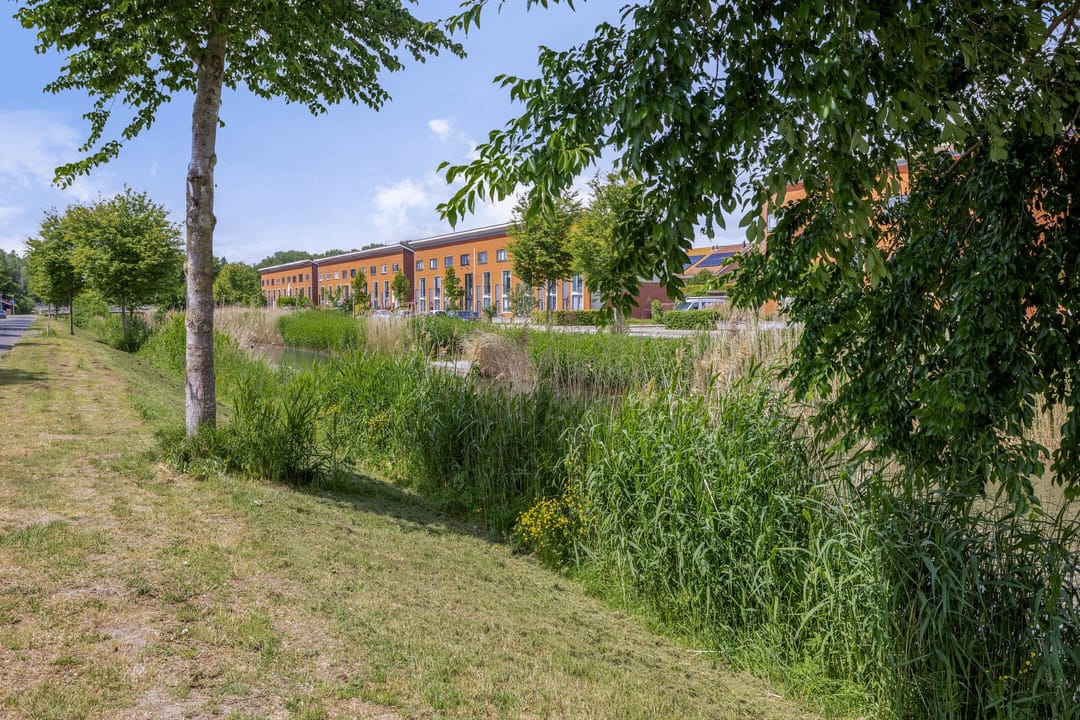 Foto 43 van Tweelingen 95