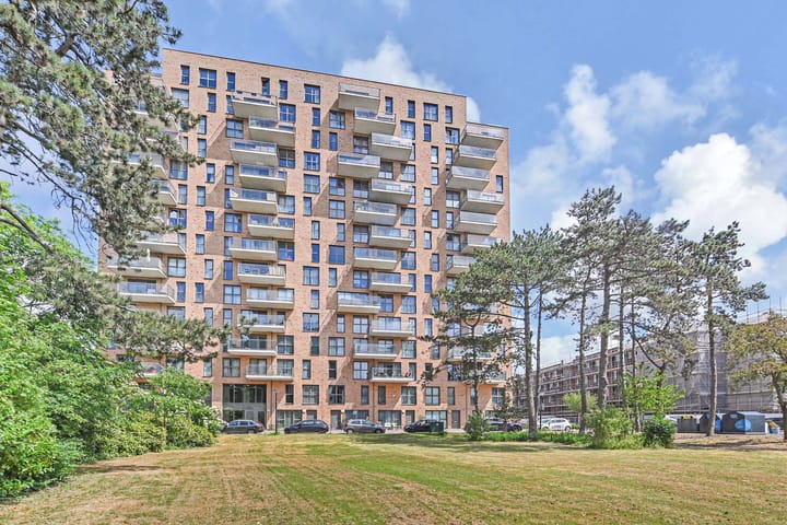 Foto 22 van Treubstraat 12-F004