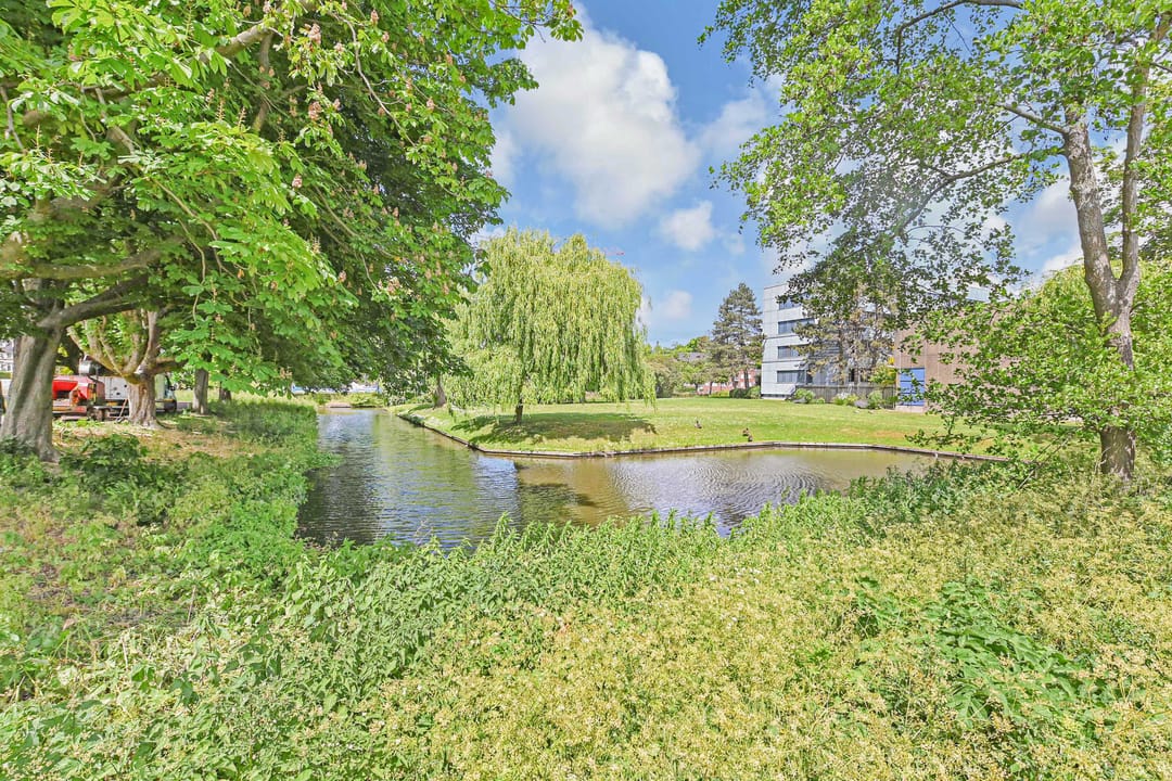 Foto 23 van Treubstraat 12-F004