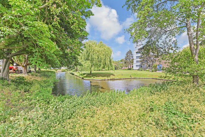 Foto 23 van Treubstraat 12-F004